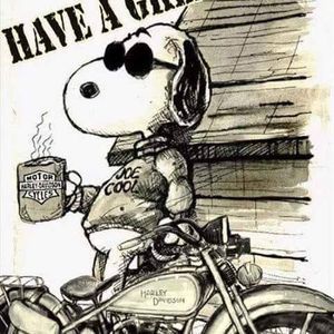 Meet your Posher, Lelton